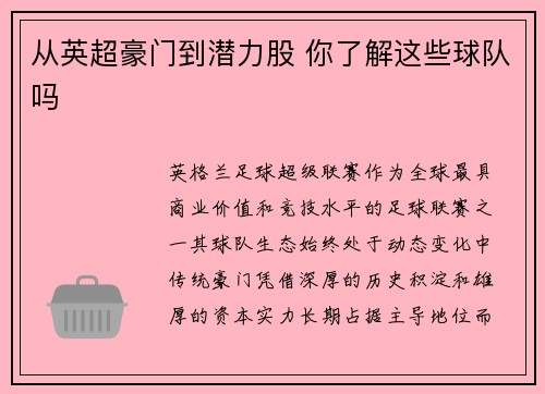 从英超豪门到潜力股 你了解这些球队吗